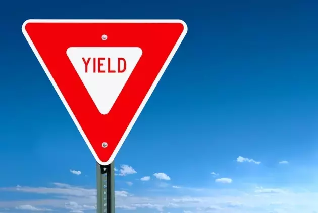 JEPI: A Robust Choice for Income-Focused Investors Seeking Stability