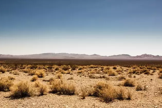 Texas Land Holdings: Shifting from Oil to AI Infrastructure