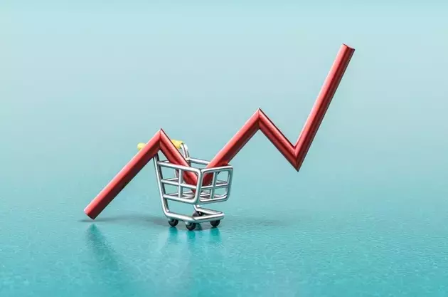 Consumer Sector Resilience: A Bright Spot Amidst Economic Challenges