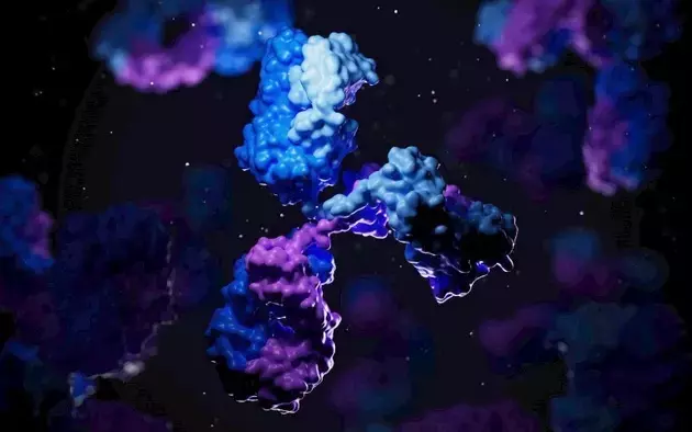 Xencor Shifts Towards In-House Pipeline with Promising Oncology and Autoimmune Programs
