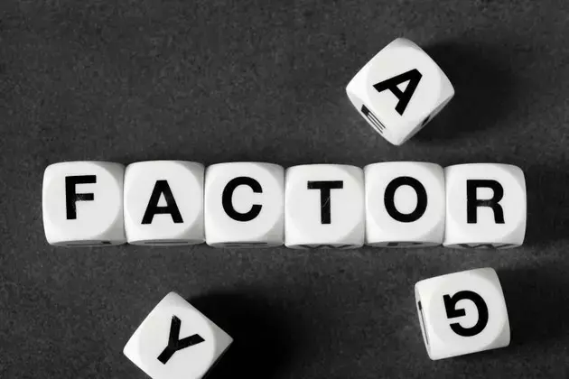 Understanding Factor Exposure Stability in Investment Indices