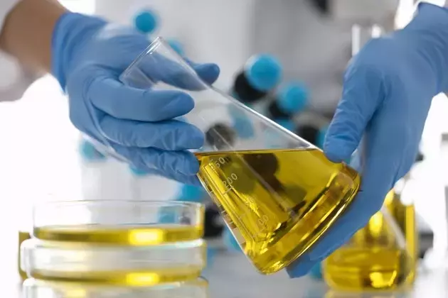 Minerals Technologies Inc. Transforms Basic Materials into High-Value Products