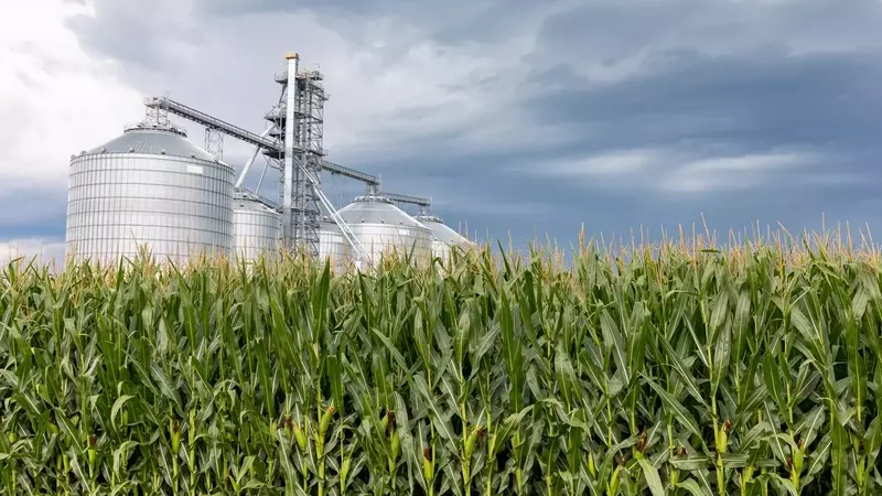 Alto Ingredients: A Promising Investment in Renewable Fuels