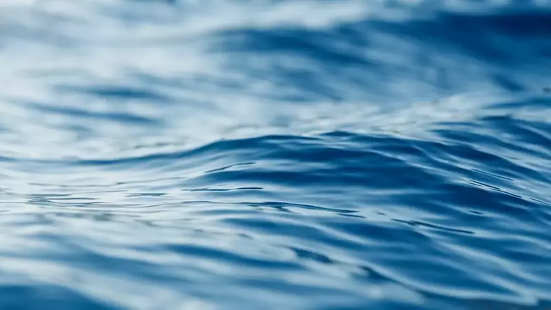 Tetra Tech's Strategic Position in Water Engineering and Consulting