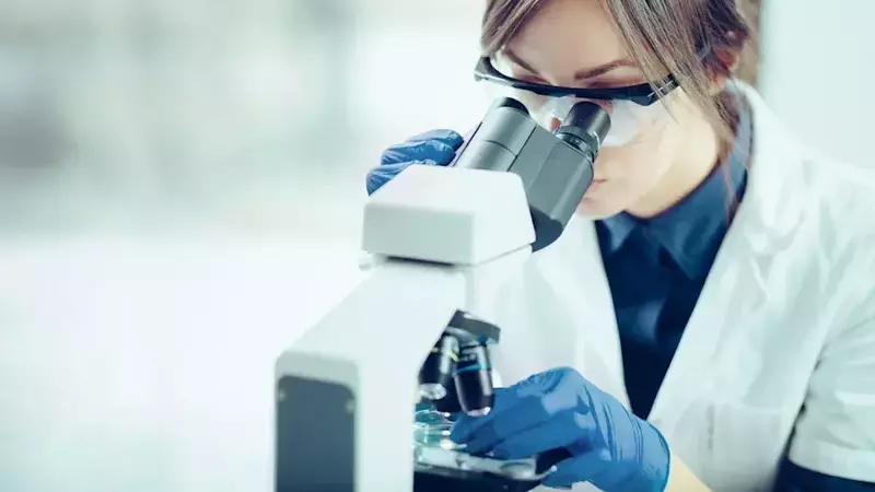 IQVIA's Remarkable Q2 Performance Driven by Clinical Research Backlog