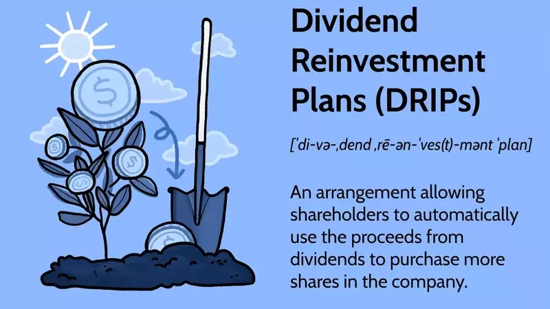 Maximizing Investment Returns Through Dividend Reinvestment Plans (DRIPs)