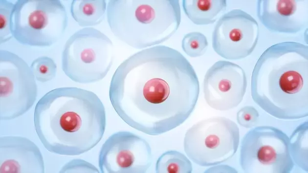 Corvus Pharmaceuticals: Advancing Soquelitinib for PTCL and Atopic Dermatitis