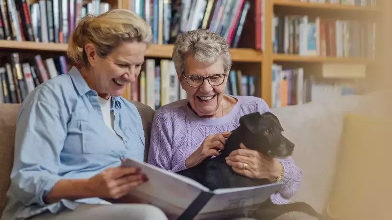 Annuities: A Comprehensive Overview of Retirement Income Strategies