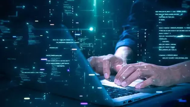 Constellation Software's Q2'26 Performance: A Mixed Outlook Amidst Weak Organic Growth and Robust Acquisitions