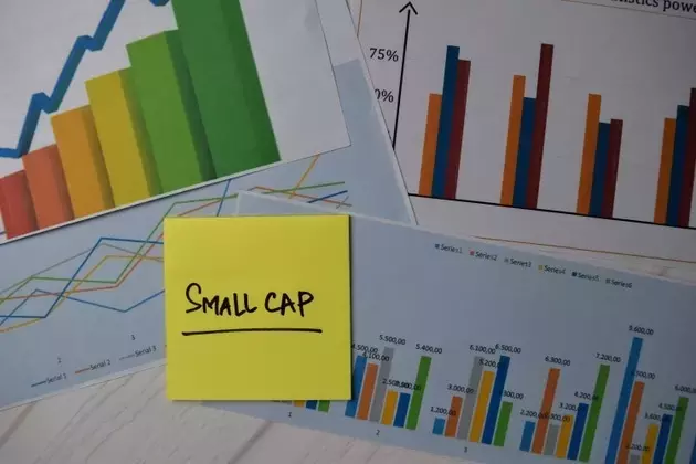 Wasatch Small Cap Growth Fund: Navigating Market Dynamics and Key Performers in Q2 2026