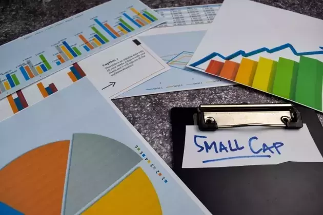 Wasatch Small Cap Growth Fund: Navigating AI-Driven Market Dynamics
