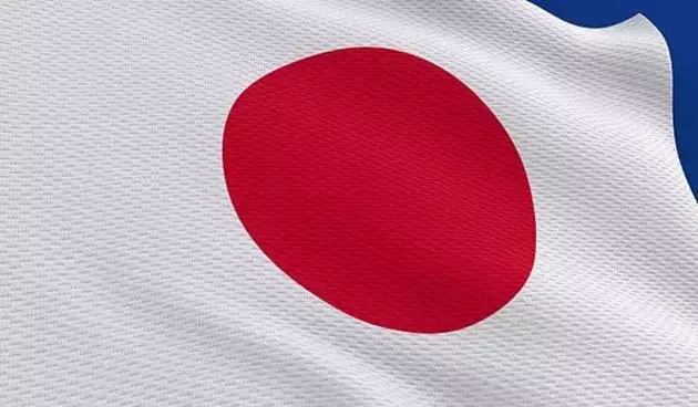 Understanding the JPMorgan BetaBuilders Japan ETF (BBJP): Features, Risks, and Alternatives