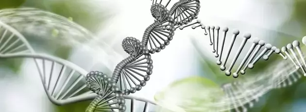Immunome's Strategic Leap: A Strong Buy for Biotech Investors