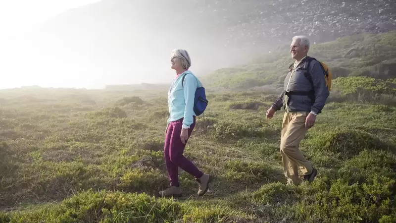Understanding Safe Harbor 401(k) Retirement Plans
