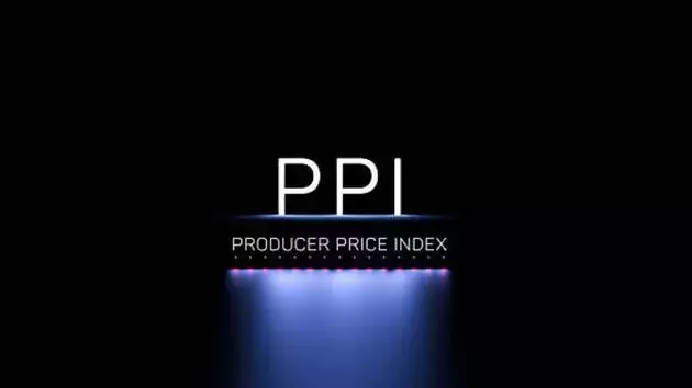 Producer Price Index Records Significant Easing in July