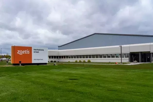 Zoetis: A Leader in Animal Health Poised for Growth