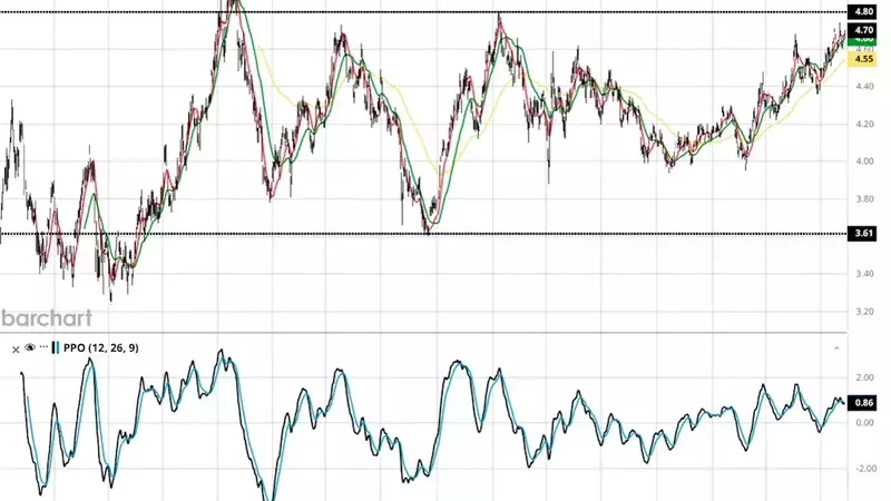 Bonds: A Decisive Investment Opportunity for the Next Decade