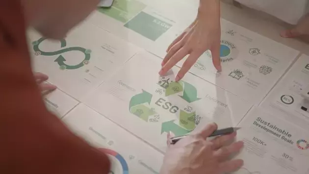 Brown Advisory's Sustainable Small-Cap Core Strategy: Navigating Market Dynamics and Future Outlook
