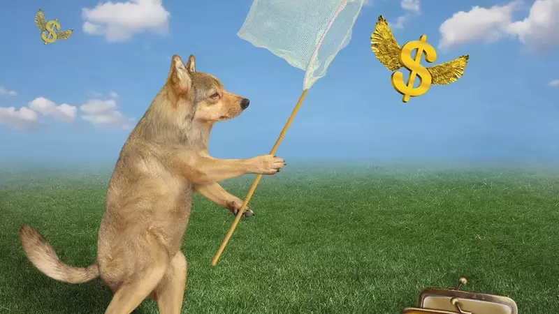 Top Monthly-Paying Dividend Stocks for August 2027