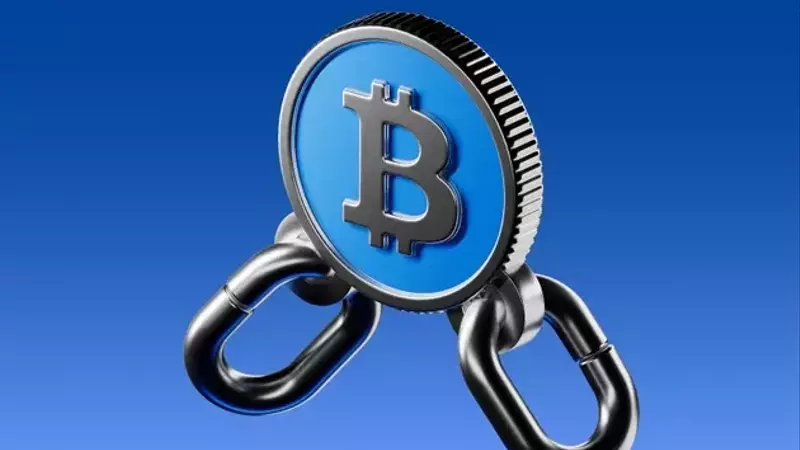 Bitcoin Stability Amid Market Dynamics: Volatility, Capitulation, and Long-Term Holder Trends