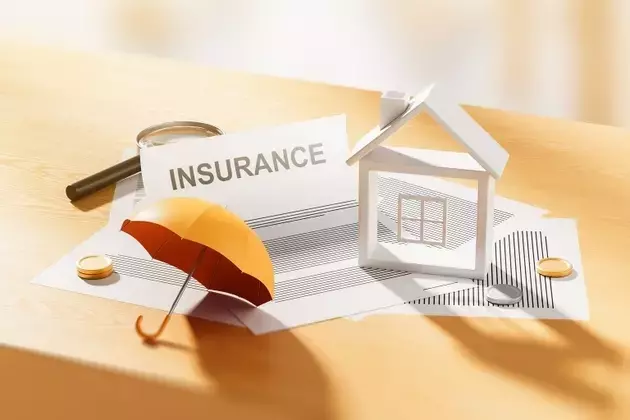 The Evolution of US Excess and Surplus Homeowners Insurance Market