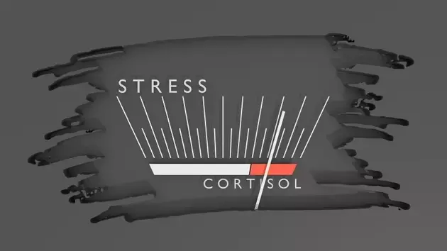 Corcept Therapeutics: Growth Driven by Innovation and Strong Financials