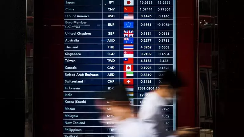 Understanding Foreign Exchange Market Dynamics