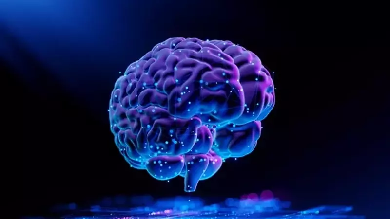 Rapport Therapeutics: A Promising Horizon in Neurological Disorder Treatment