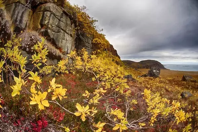 Valor Gold: A New Era for High-Grade Gold in Canada's Northwest Territories