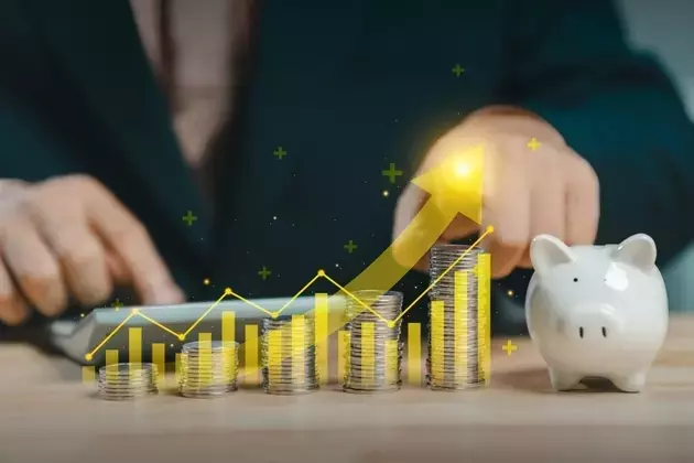 Identifying Promising External BDCs for Sustainable Income Generation