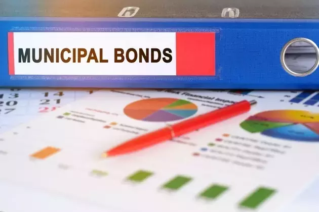 Brown Advisory's Municipal Bond Strategy Shines in Q2