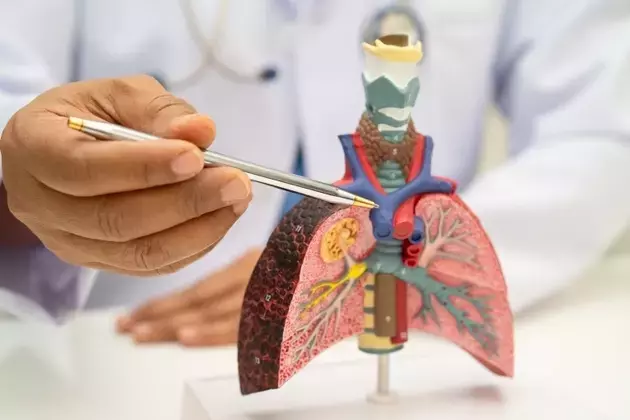 Inovio's Future Hinges on FDA Decision for INO-3107