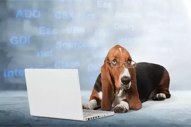 Datadog Stock Rebound: A Prime Investment Opportunity
