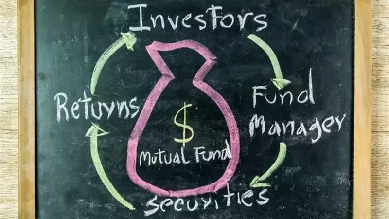Diamond Hill Small-Mid Cap Strategy: Q2 Performance Insights