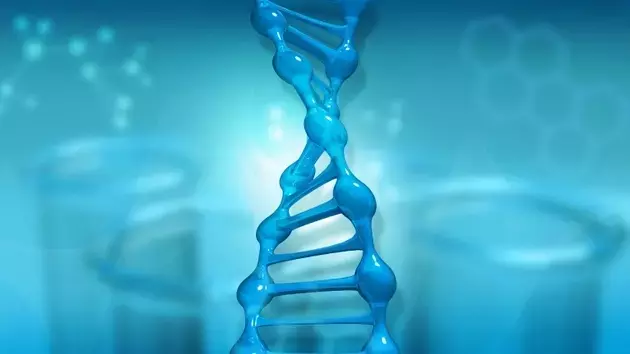 Cellectis Advances Allogeneic CAR-T Therapies with Promising Clinical Results