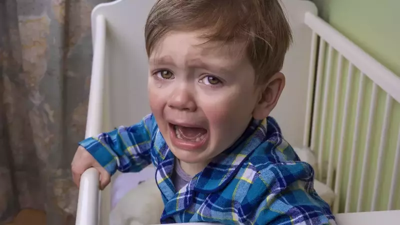 Understanding and Managing Self-Hitting Behavior in Toddlers