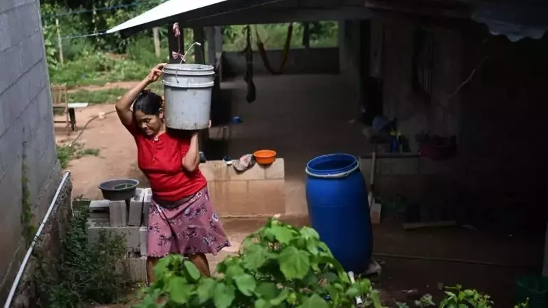 El Niño's Deadly Impact: Over 450,000 Lives at Risk from Extreme Heat