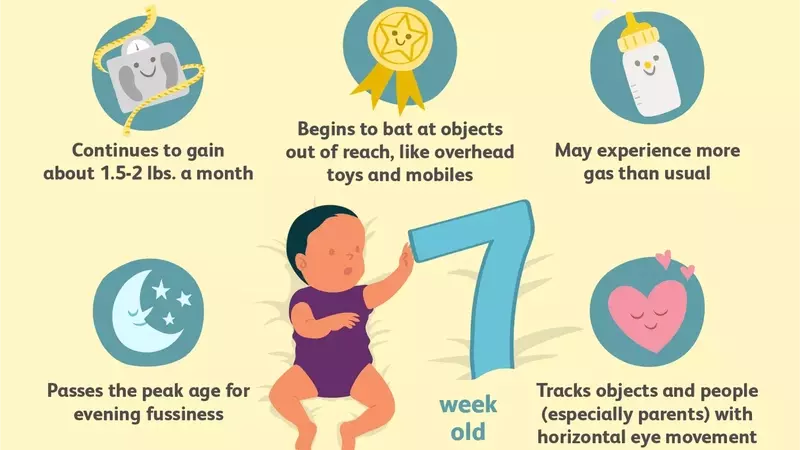 Navigating the 7th Week: Your Baby's Journey of Growth and Discovery