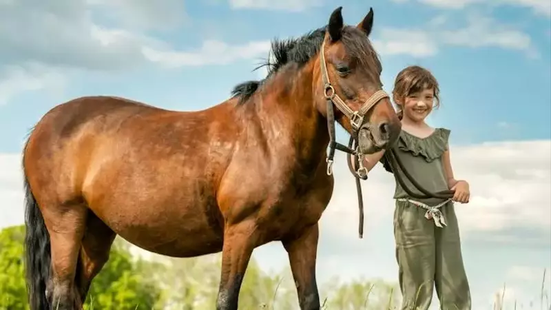 43 Equine-Inspired Names for Your Future Horse Enthusiast