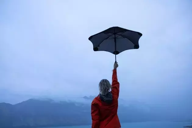 Crafting a Robust All-Weather Dividend Portfolio for Long-Term Growth