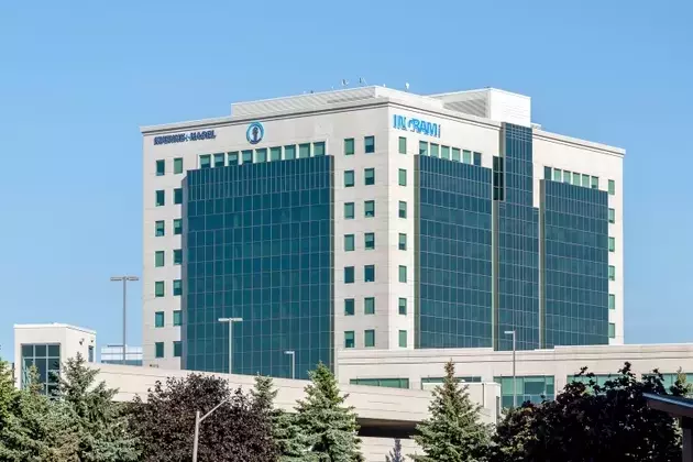 Ingram Micro: A Deep Dive into Growth Amidst Thin Margins