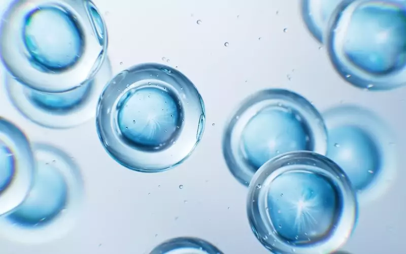 IDEAYA Biosciences: A 'Strong Buy' on Darovasertib's Potential and Strategic Growth