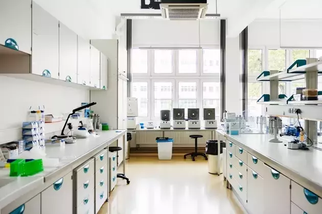 Collegium Pharmaceutical: A Shifting Horizon Beyond Pain Management