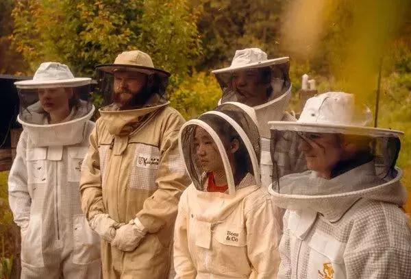 Veterinary Students Expand Focus to Honeybee Health